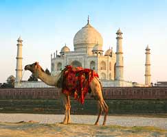 Agra Package